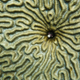 Image for article titled 10 of the Year's Most Beautiful Science Images